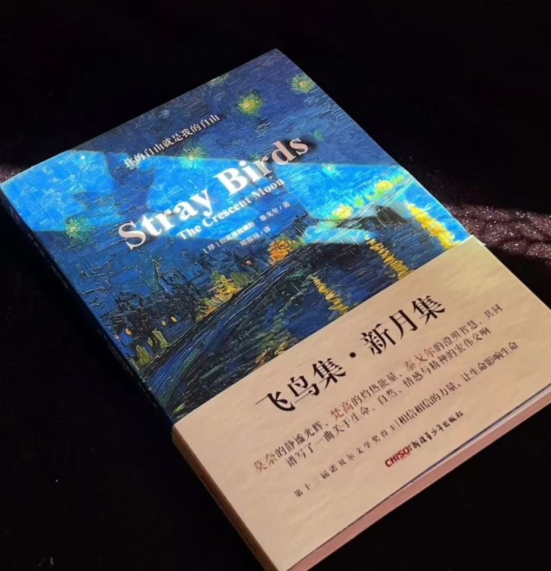 好书推荐｜《飞鸟集》：一念诗意，万物温柔