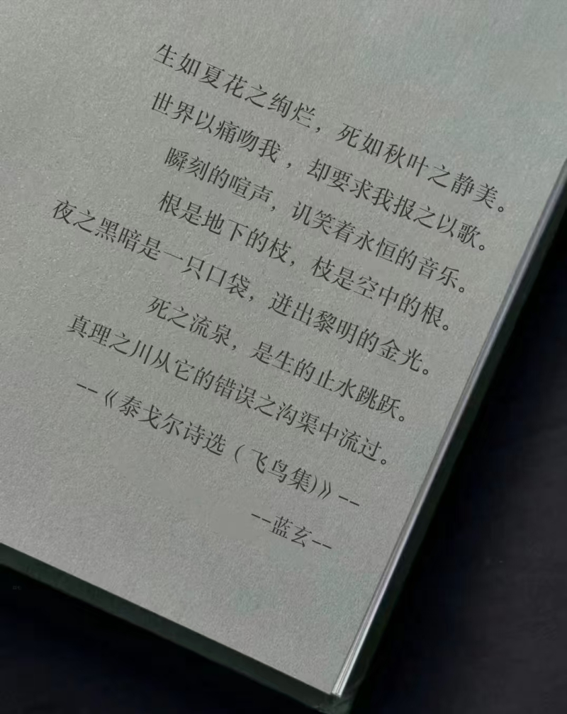 02c8815bf91c4a2ab11cee7b8b16f131.jpg